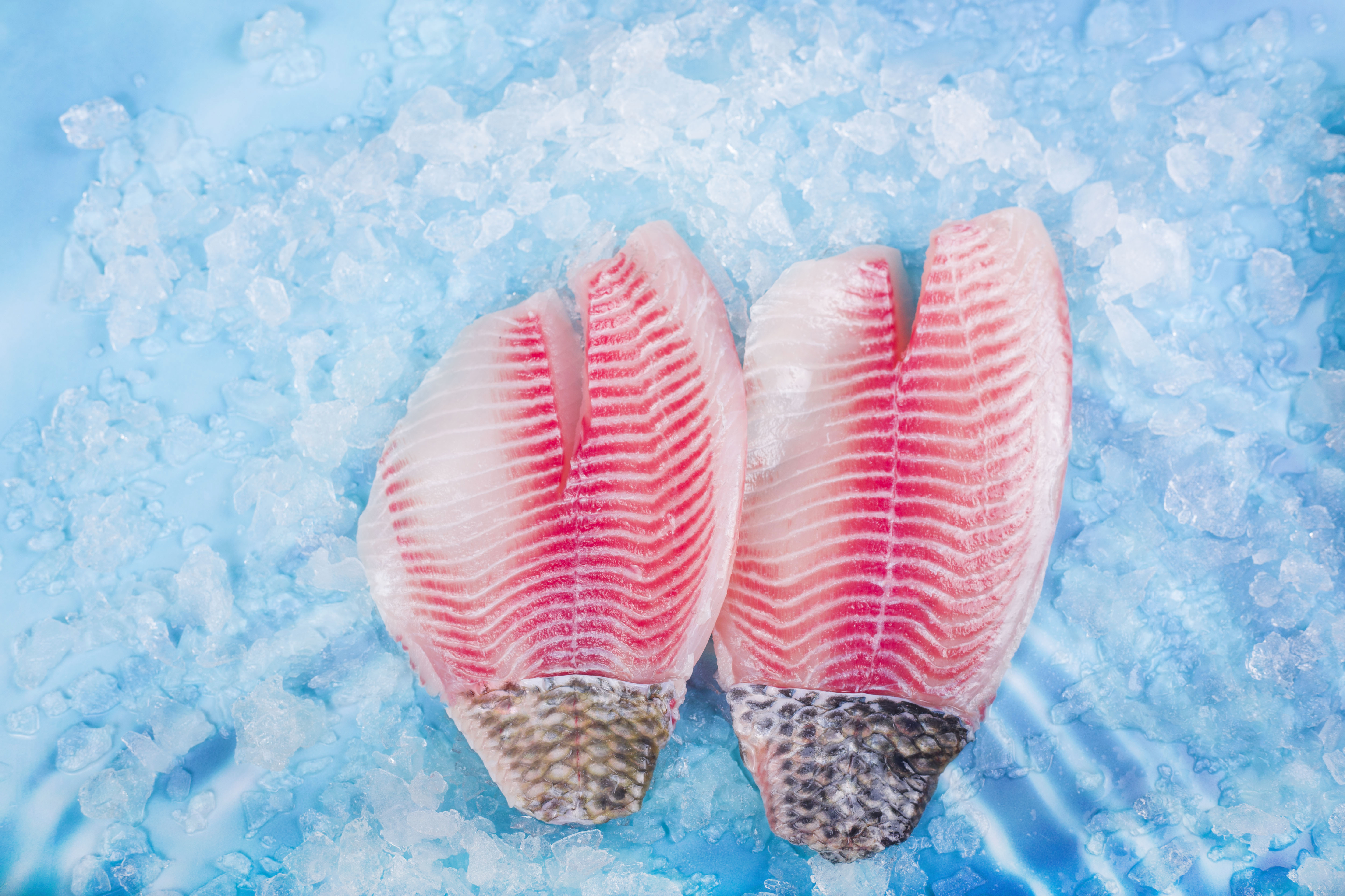 首頁(yè)(ABOUT US)左側(cè)01